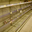 台風でスーパーの商品が売り切れ